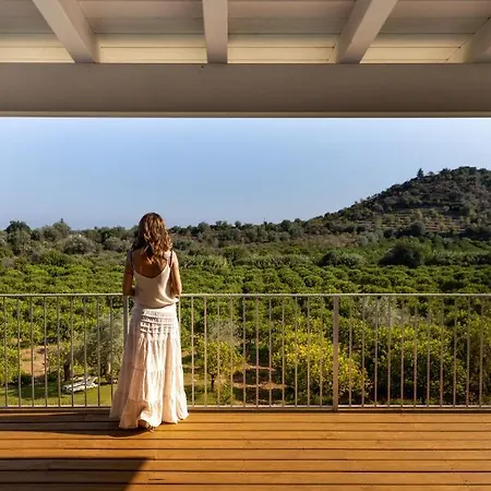 Helorus - Zagara Bianca