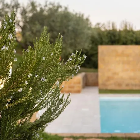 Helorus - Zagara Bianca * נוטו