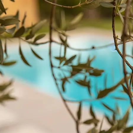 Helorus - Zagara Bianca נוטו