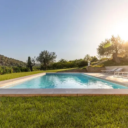 Helorus - Zagara Bianca נוטו